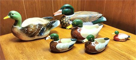 Assorted Mallard Lot