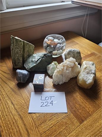 Mixed Rock Collection & Petrified Wood