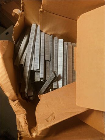 Senco Fastening Systems C-08 16-Gauge Industrial Heavy Wire Staple Lot