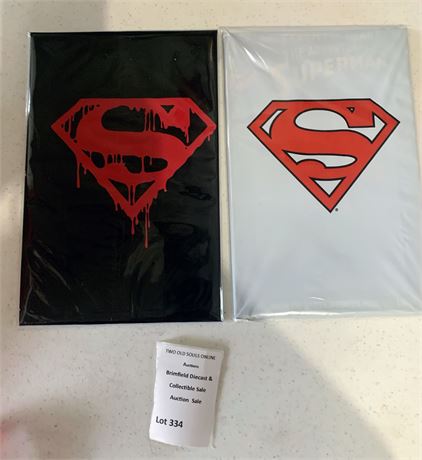 Sealed DC Comics The Death of Superman Collectors and Memorial Lot of 2