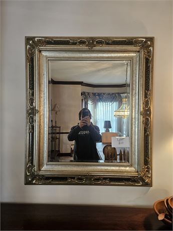 Large Brushed Silver Beveled Glass Wall Mirror