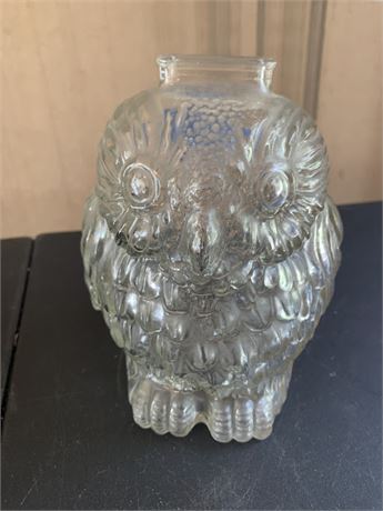 Vintage Libbey Clear Glass Wise Old Owl Coin Bank Figurine