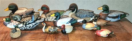 Mallards Lot