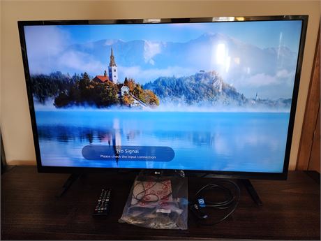 Like New 42.5" LG Smart TV w/Remote, HDMI, Optical Cord & Manual