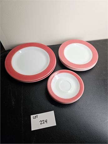 Pyrex Pink Flamingo Rim Dinnerware Plates