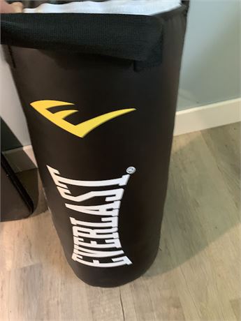 Everlast Punching Kickboxing Bag