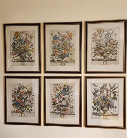 Vintage Framed Botanical Print "12 Months of Flowers"~(Mar-Apr-Sep-Jan-Jun-Jul)