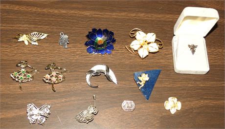 Brooches, Pins
