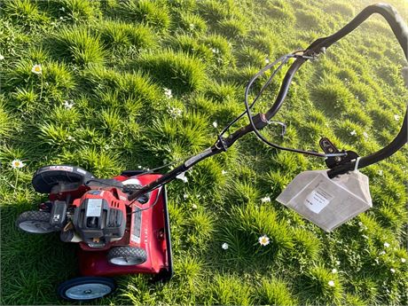 Troy-Bilt Gas-Powered Walk-Behind Edger