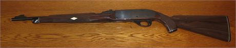 Remington 22 Rifle