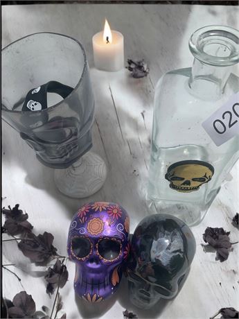 Day of The Dead Skull, Black Skull, Skull Glass Bottle, Plastic Skull Goblet