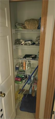 Closet Cleanout- Cleaners, Chemicals, Iron & More