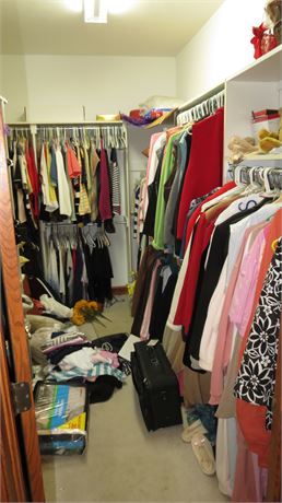 Walk In Closet Cleanout