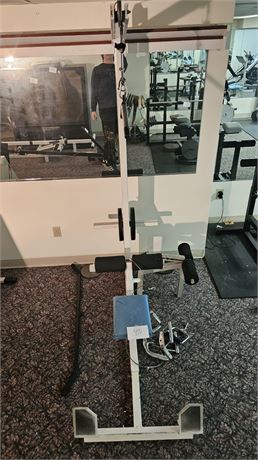 Multi-Function Arms/Legs Gym System