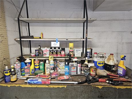 Garage Shelf Cleanout: Chemicals / Cleaners & More