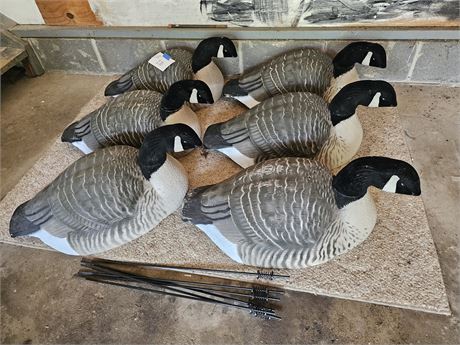 6 Plastic Full Size Half Shell Canada Goose Hunting Decoy's