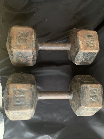 #45 Metal Dumbbell Set of 2