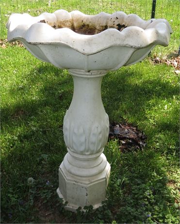 Bird Bath