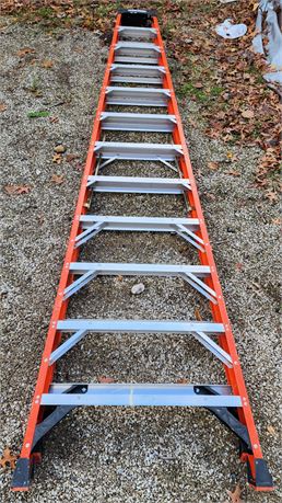 12' Werner Step Ladder