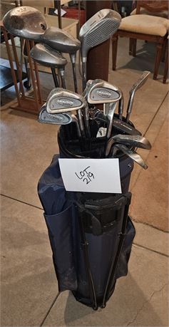 Spalding Gold Clubs With Gold Bag