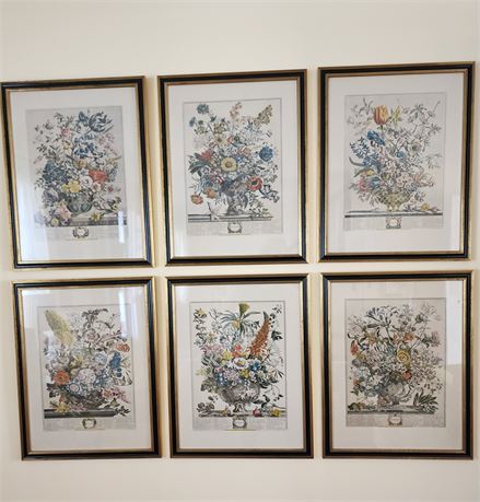 Vintage Framed Botanical Print "12 Months of Flowers"~(May-Nov-Feb-Oct-Dec-Aug)