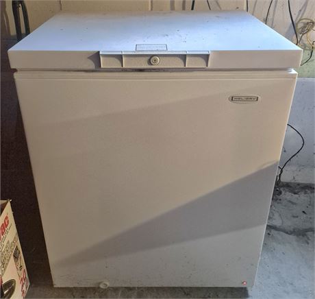 Holiday Deep Freezer