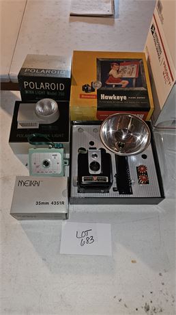 Vintage Camera Lot Polaroid 250, Brownie Hawkeye, Savoy Teal Mark II & More