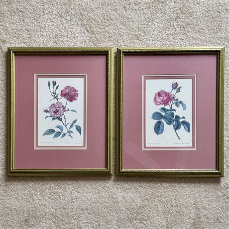 Lovely Pair of Framed Botany Rose Floral Prints