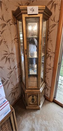 Traditional Style Curio Lighted Cabinet With Antique Gold Finish