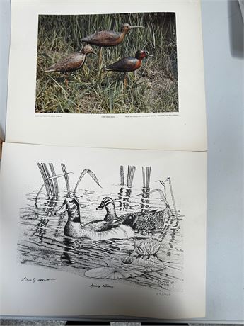 Signed (UNFRAMED) Duck Print