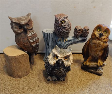 Owl Collection 3