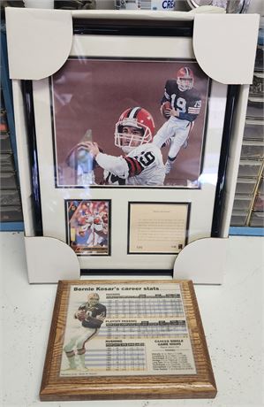 Bernie Kosar Lot