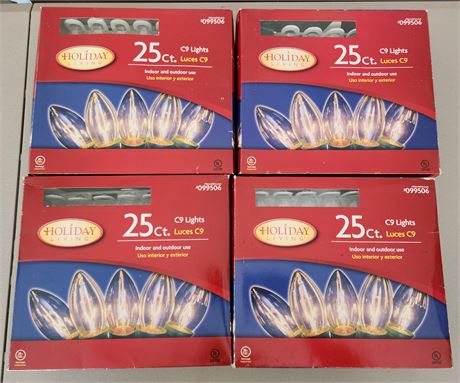 25ct Christmas Lights