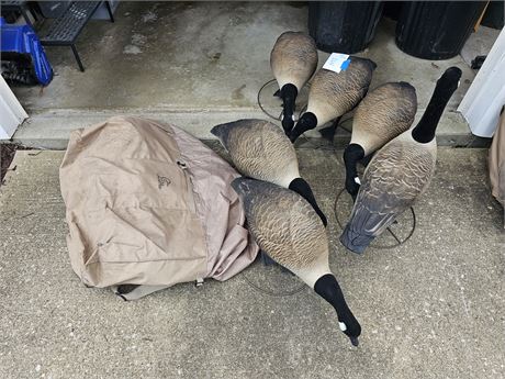 6 Full Size Higdon Goose Decoys with Stands + Avery Ducks Unlimited Bag