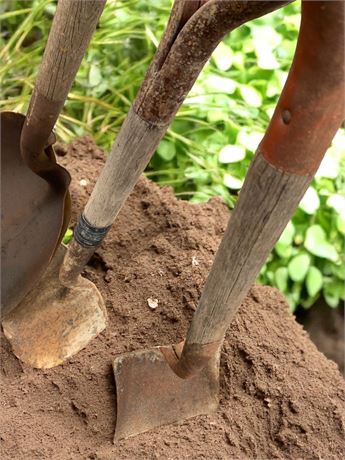 Vintage Wood Handled Shovel Lot of 3