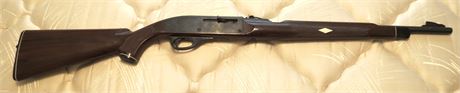 Remington Nylon 66 .22 Rifle