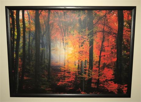 Large Forest Print