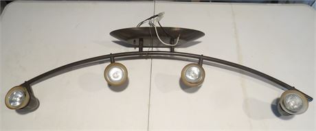 Track Light Fixture