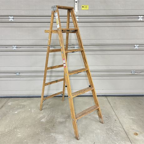 Werner 6 ft. Ladder W356