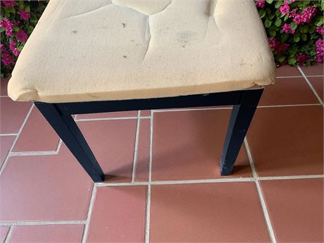 Rectangular Multipurpose Wood Stool Bench W/Padding