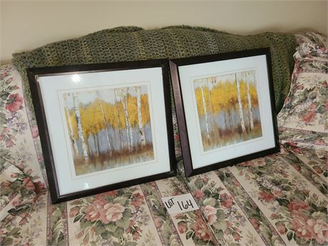 Birch Tree Fall Wall Prints