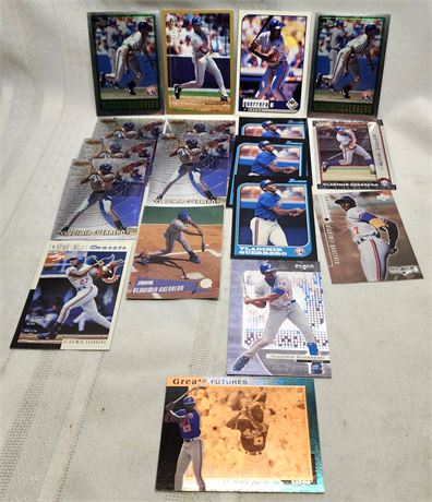 Vladimir Guerrero Lot