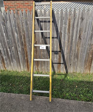 Metal Ladder 6ft