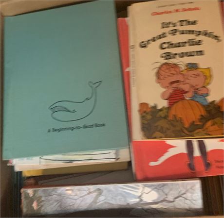 Childrens Book Lot