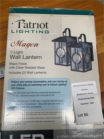 Patriot Lighting Magen 1-Light LED Wall Lantern W/Black Finish/Clear Glass