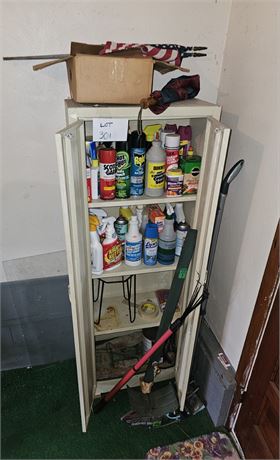Metal Cabinet Filled with Cleaners, Chemicals & More