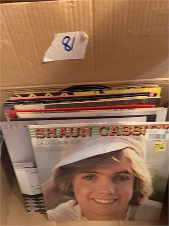 Vintage 80's Vinyl Record Album Lot