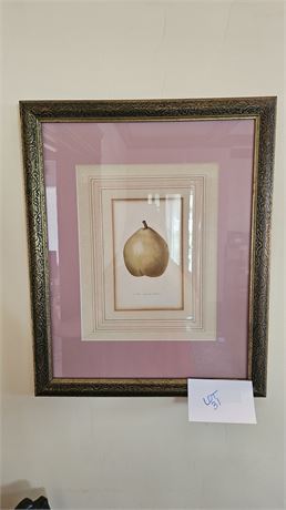 Burghuish Publishing 1860's Chromolithograph Finish By Hand Botanical Pear Print