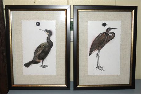 Framed Bird Prints