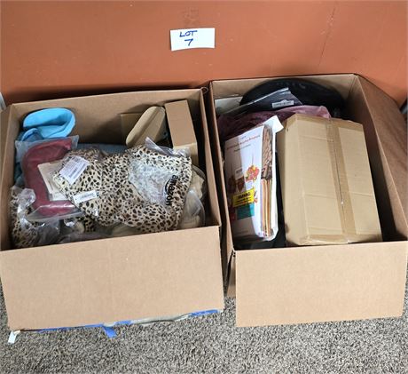 2 boxes of mixed amazon items